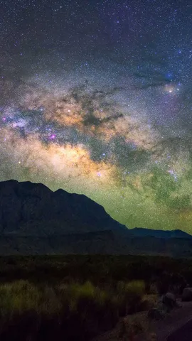 星光盛宴