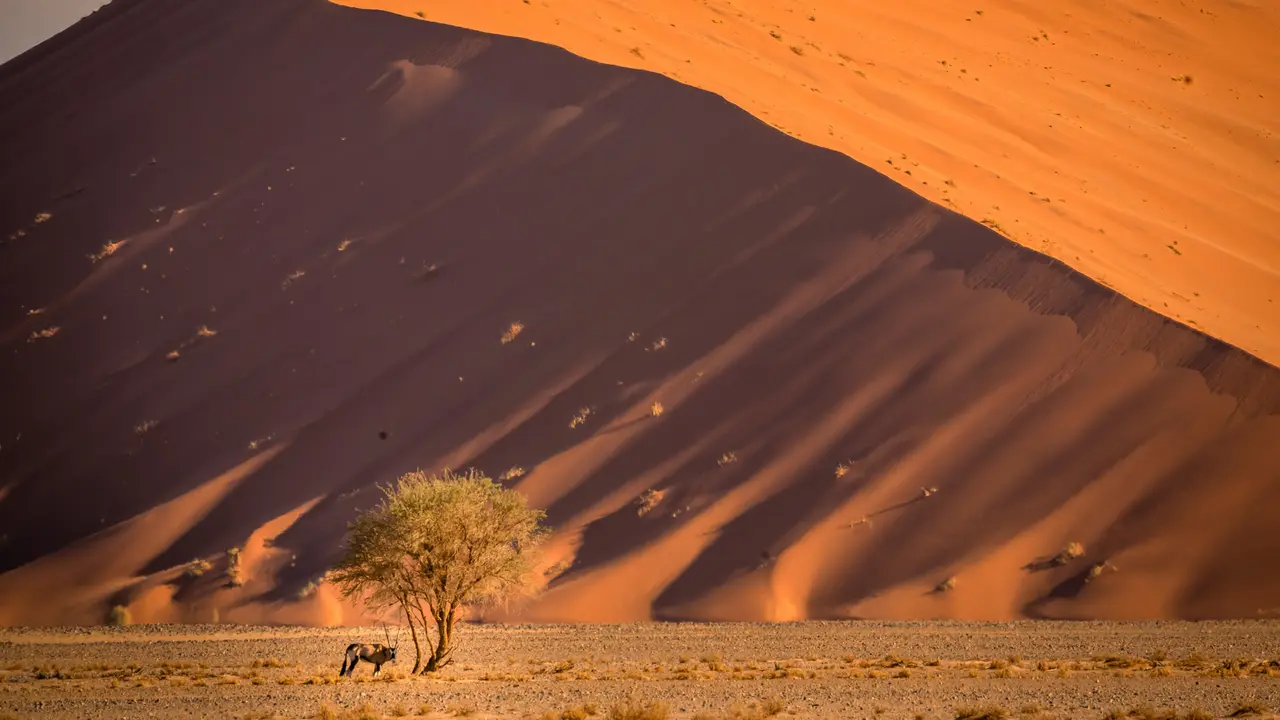 Horizontes em movimento