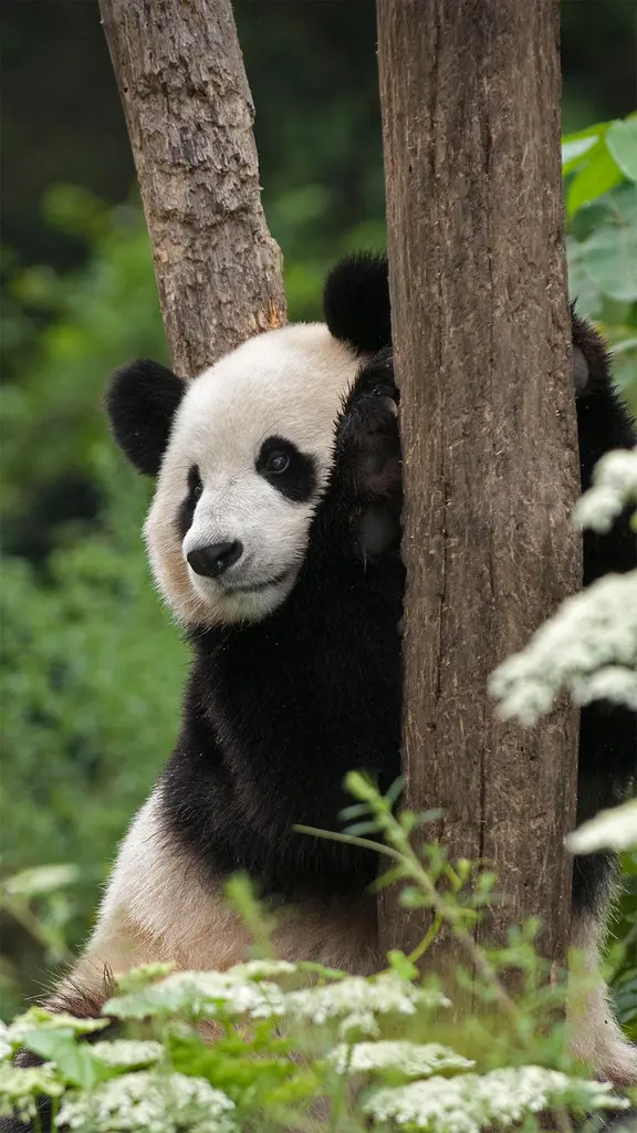 在那可爱的外表下&hellip;&hellip;