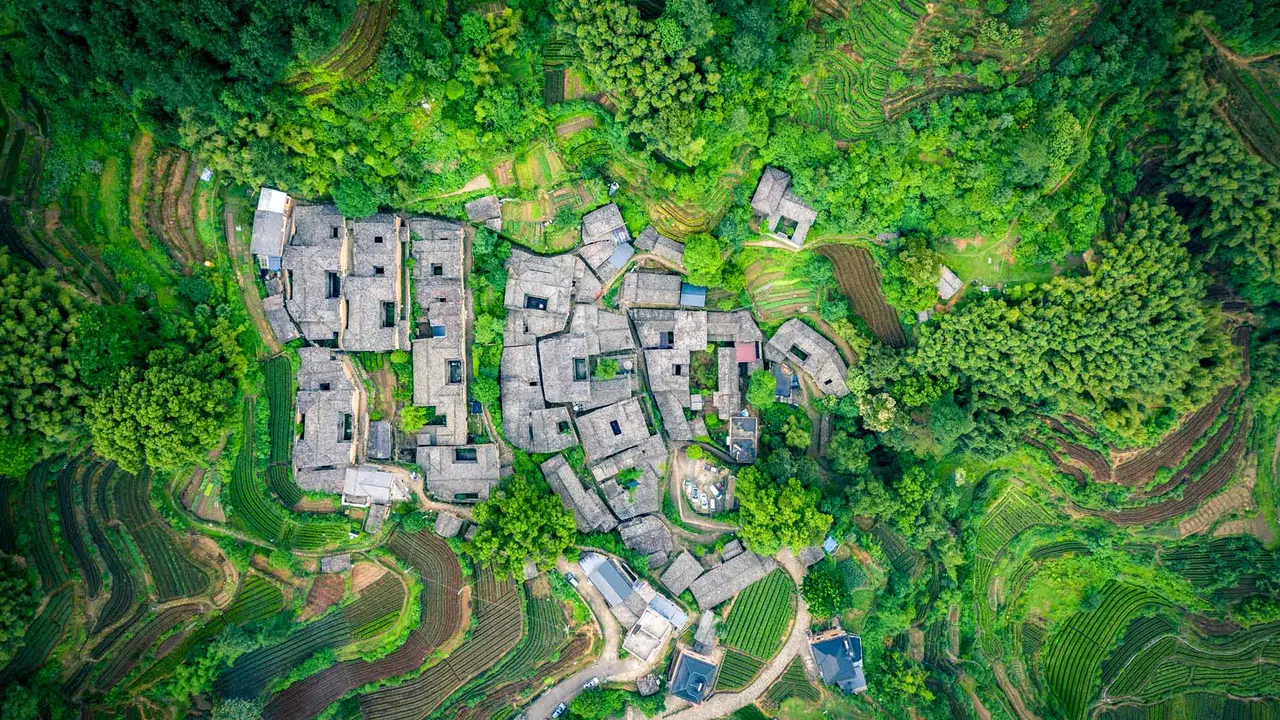 茶歇时光