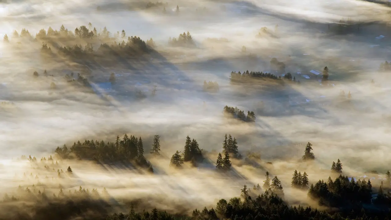 Atr&aacute;s de um manto de neblina