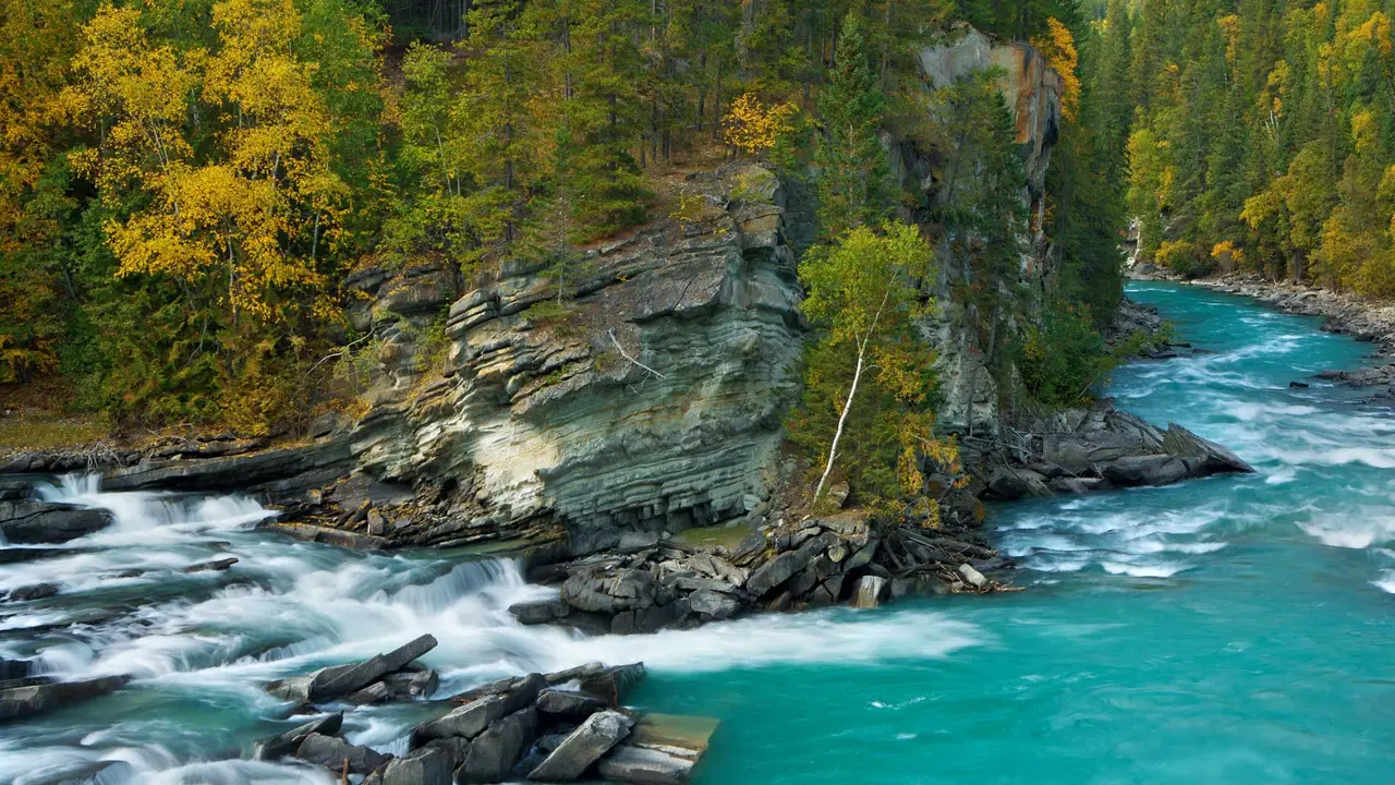Trickle, babble, or roar