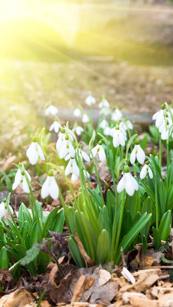 A dan&ccedil;a das esta&ccedil;&otilde;es