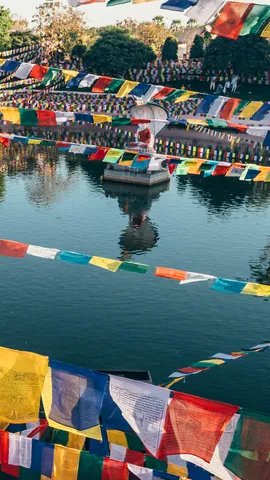 Pond of peace