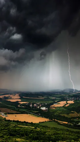 Die Kr&auml;fte der Natur