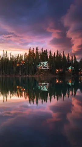 沉浸在大自然中