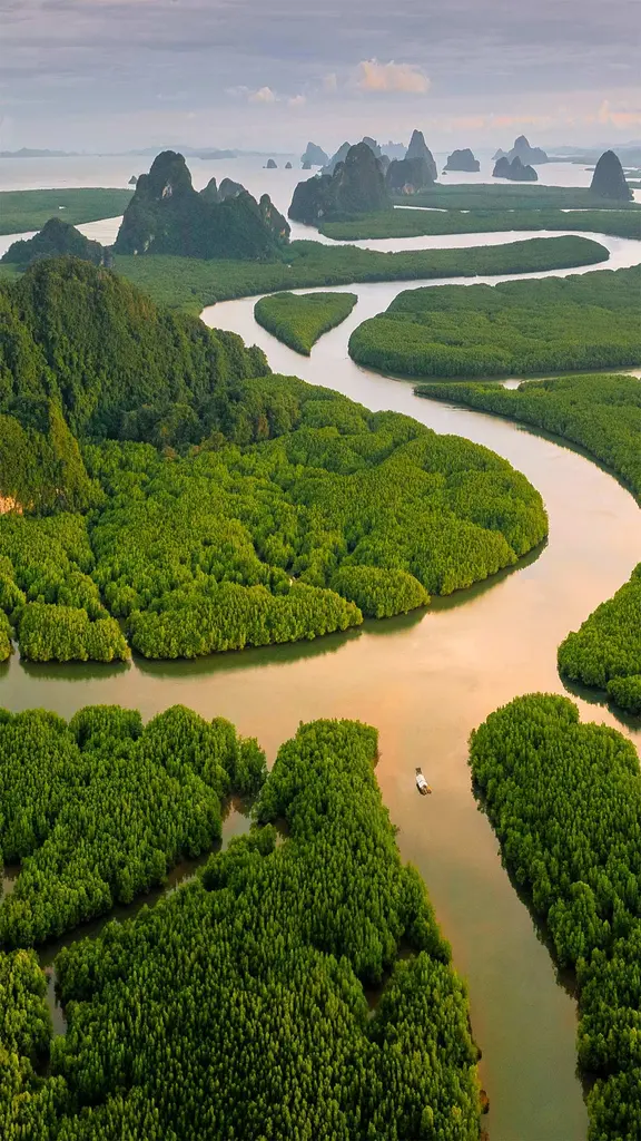 在热带，陆地与海洋热情相拥