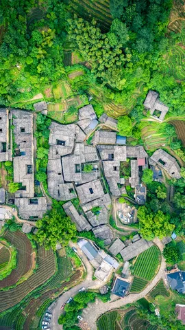 茶歇时光