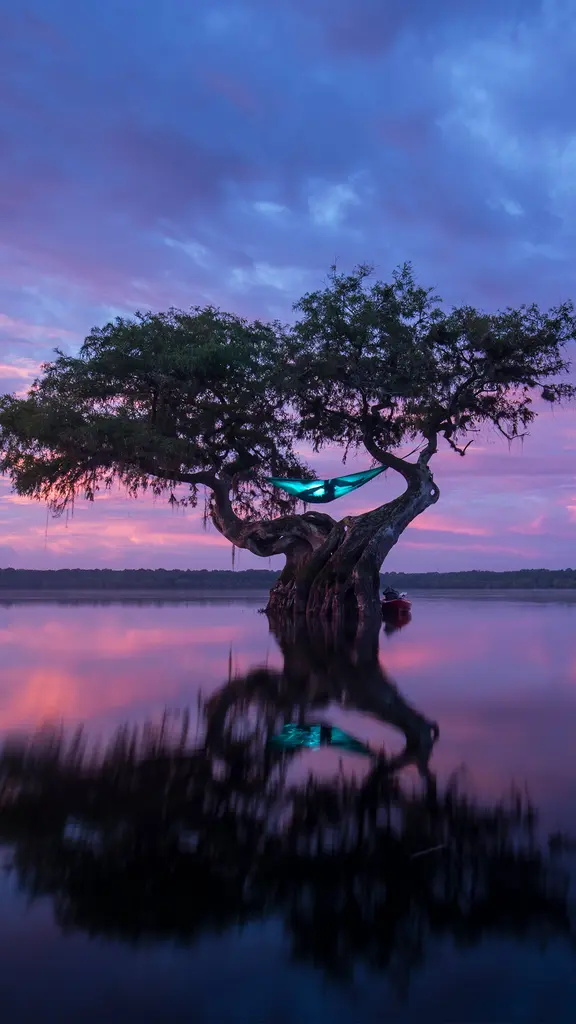 En suspens au-dessus de l&rsquo;eau