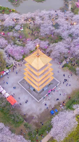 The shape of spring