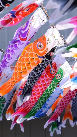 今日はこどもの日