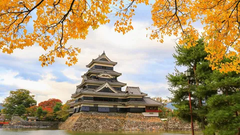 今日は松本城の日