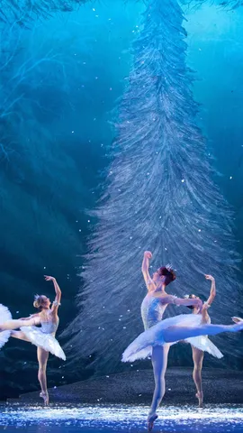 クリスマスシーズン恒例のバレエ公演