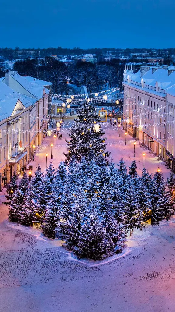 Que lindos s&atilde;o seus galhos