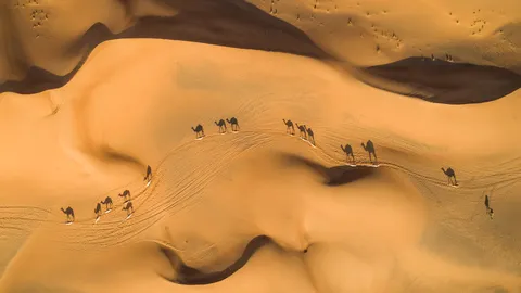 Navios do deserto, ahoy!