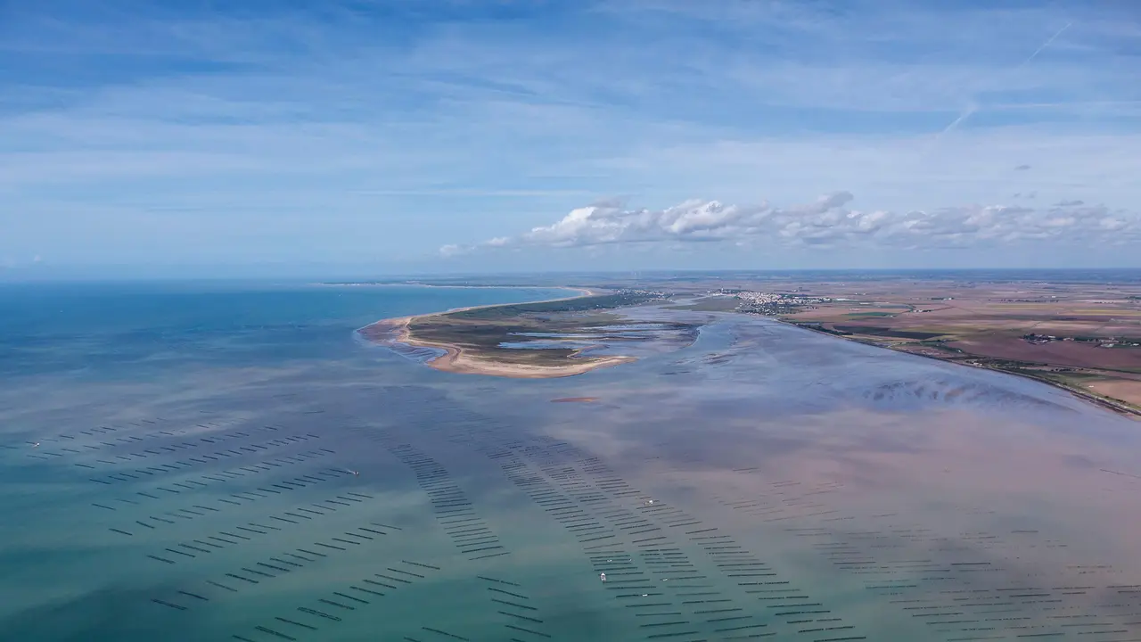 Une histoire de gastronomie &agrave; la fran&ccedil;aise