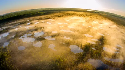 Il potere della protesta