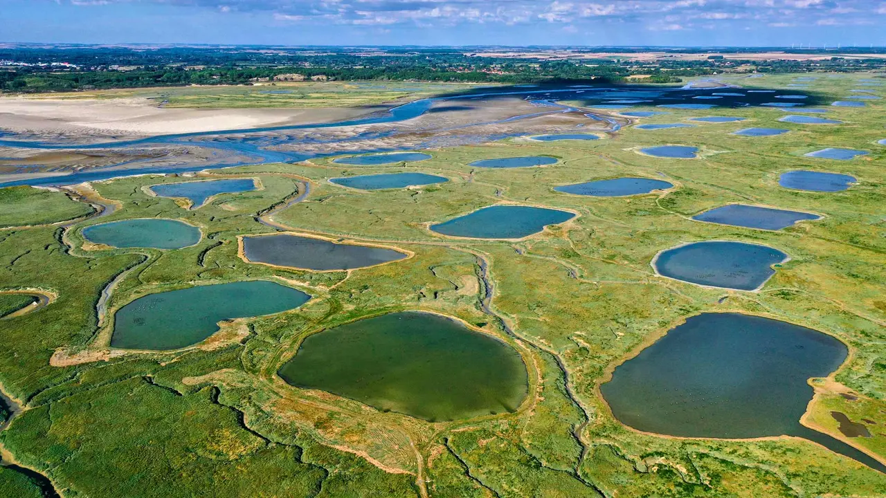 Une baie &agrave; l&rsquo;&eacute;coute du monde sauvage