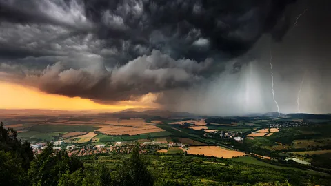 Die Kr&auml;fte der Natur