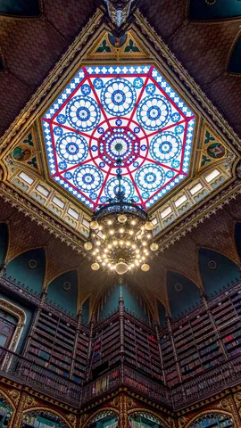 Real Gabinete: Um Mar de Livros!