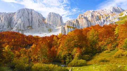 Dove respira la Montagna