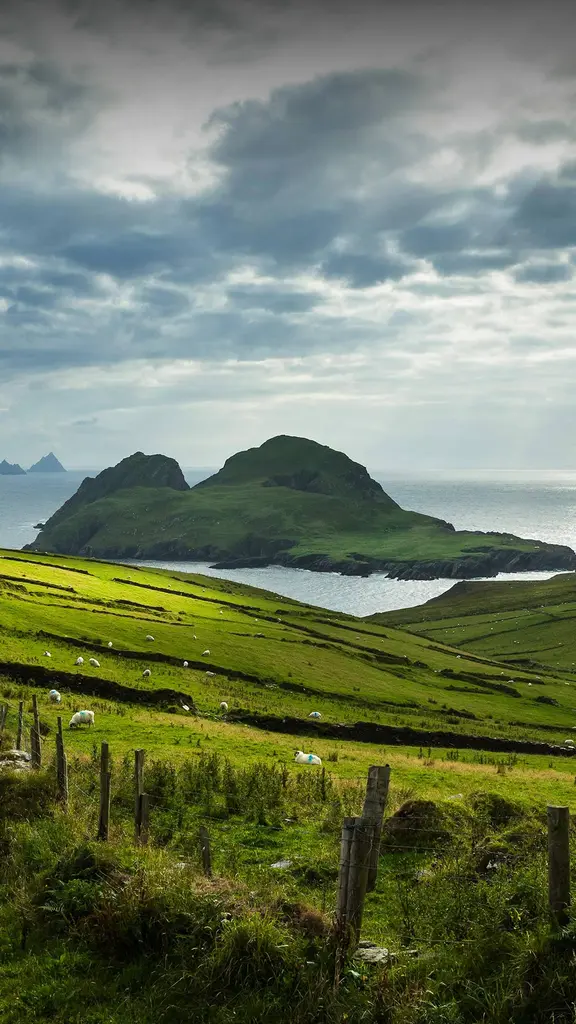 今日は聖パトリックの祝日