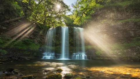 Veil of light