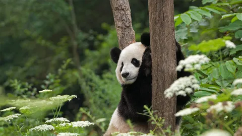 在那可爱的外表下&hellip;&hellip;