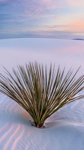 White Sands National Park, New Mexico, United States