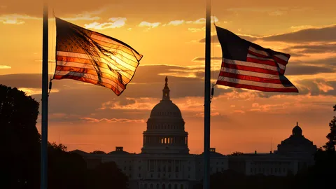 Saluting the Stars and Stripes