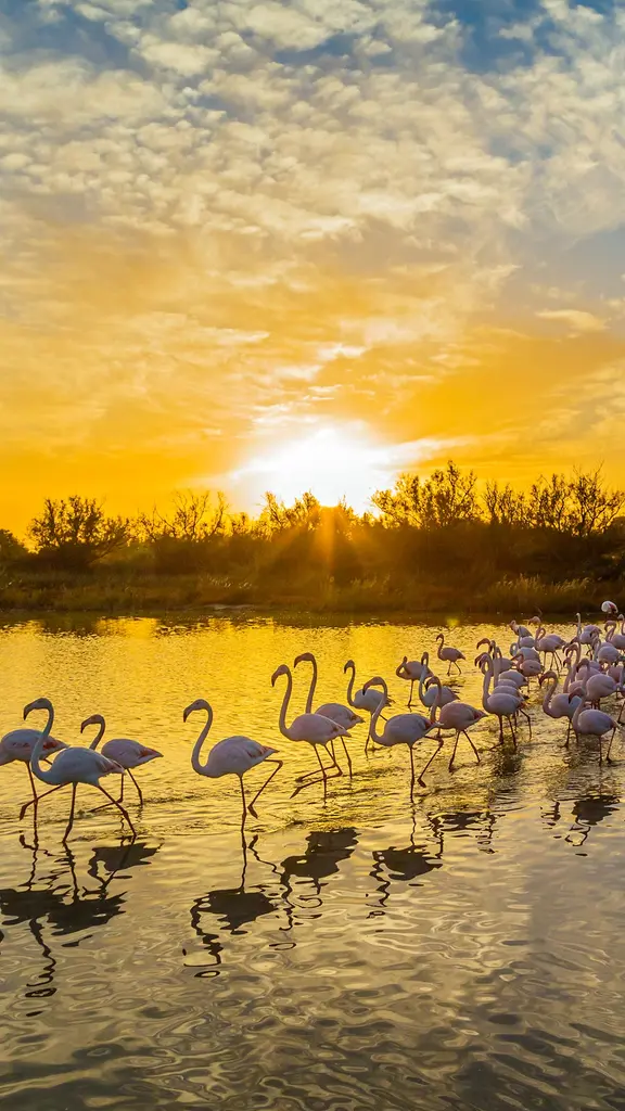 有趣的野生动物!
