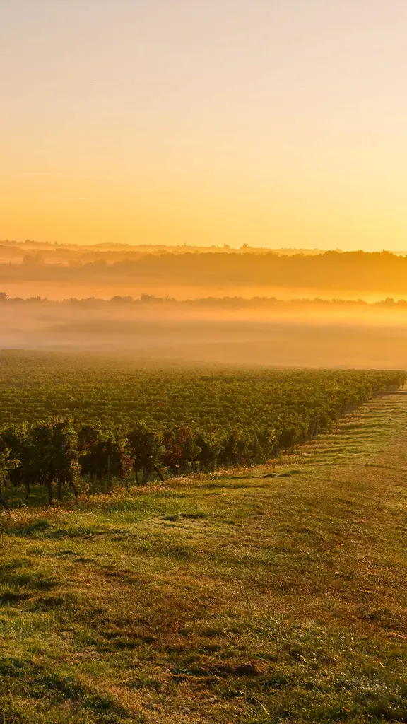 Dove storia, natura e vino si incontrano
