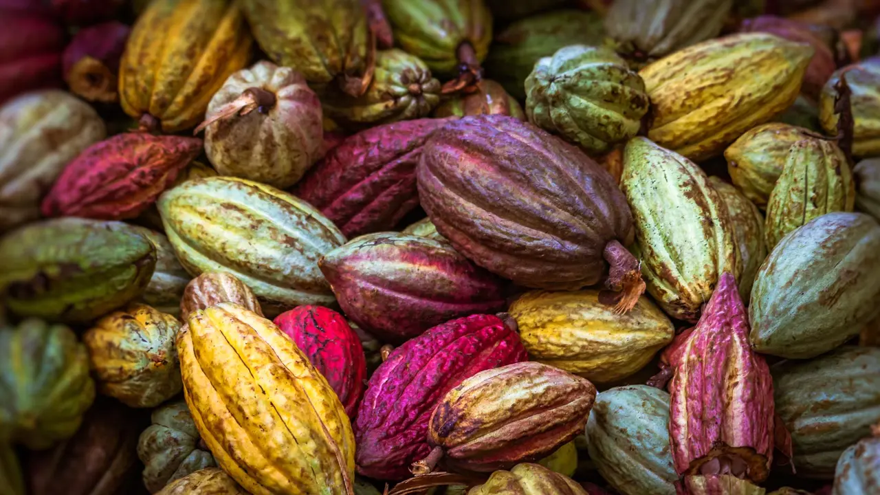 La fruta favorita de los amantes del chocolate