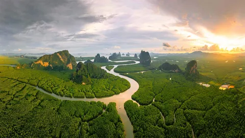 在热带，陆地与海洋热情相拥