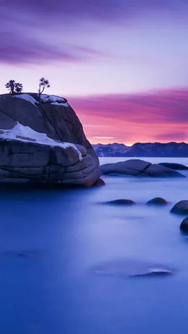 Les bonsa&iuml;s de la nature