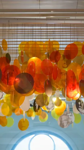 今日は国際平和デー