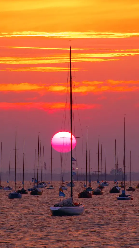 A sail-ebration