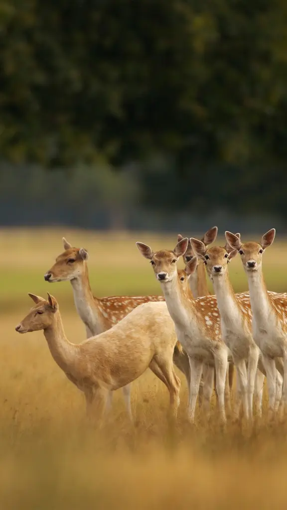 Natur mit Noblesse