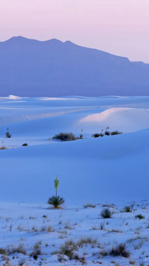 世界最大的石膏沙漠