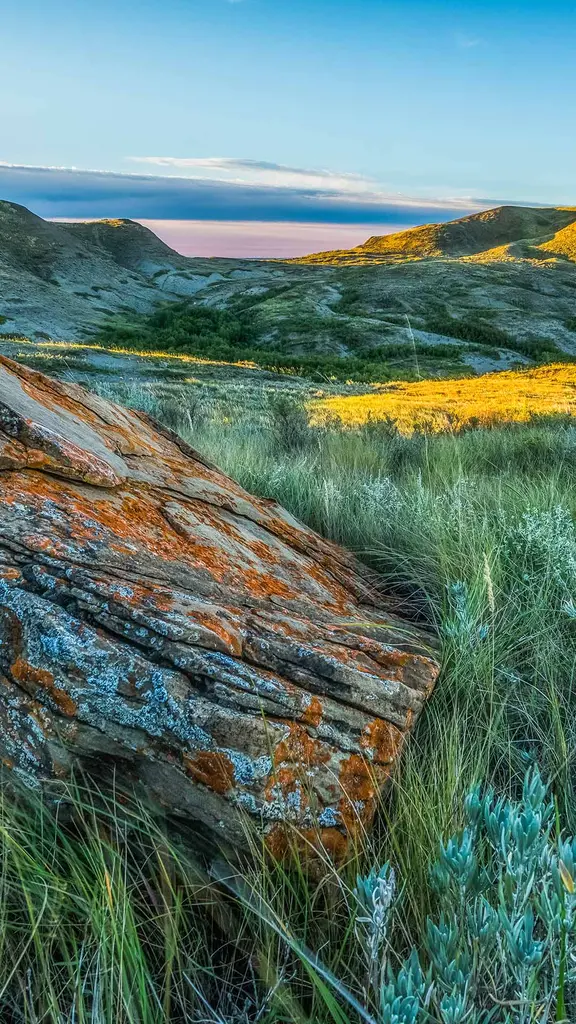 体验孤独与奇迹