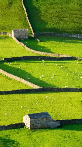 Un lugar verde y tranquilo