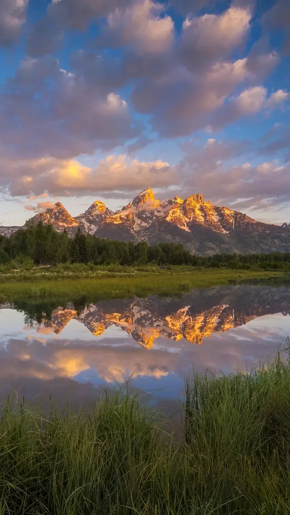 Donde los ciervos juegan con los ant&iacute;lopes