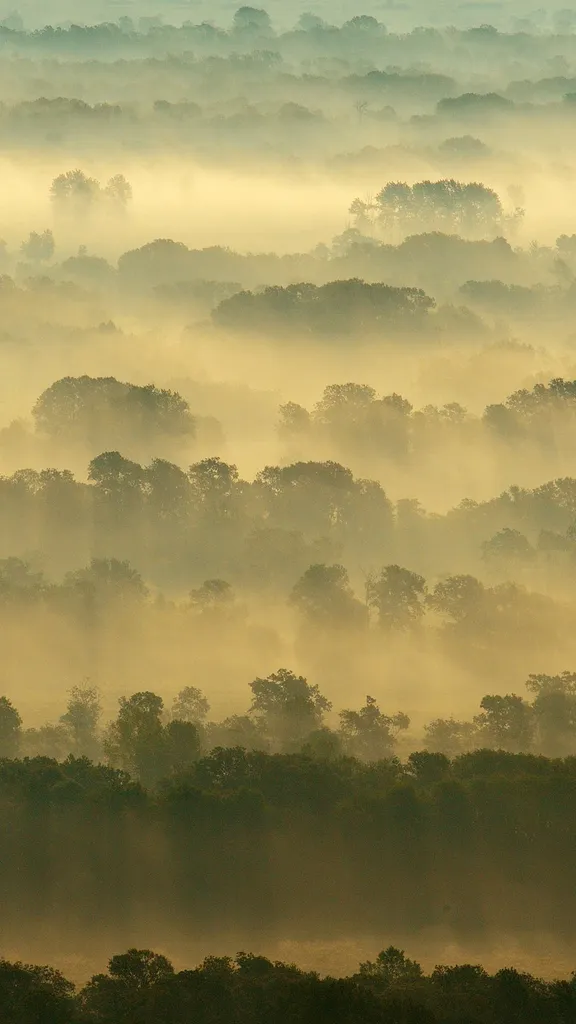 Wo Natur tief verwurzelt ist