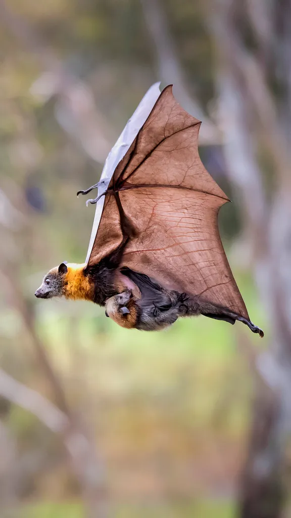 Eroi della notte