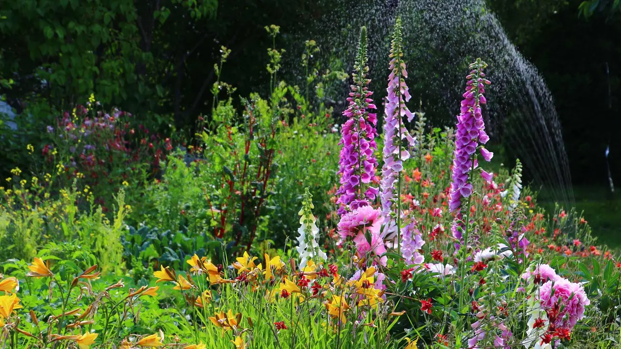 Mulch ado about gardening