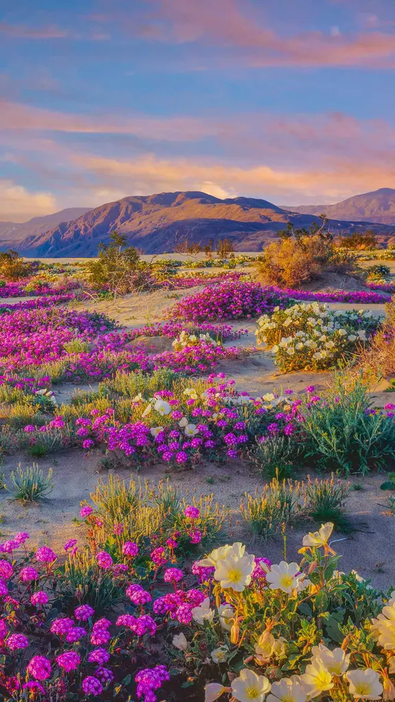 大自然最为色彩鲜艳的一面