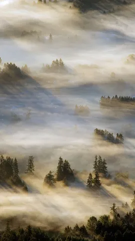 Atr&aacute;s de um manto de neblina