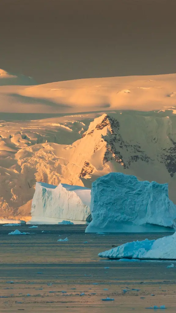 Guardianes del &uacute;ltimo gran santuario natural