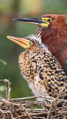 Um momento de pai e filho