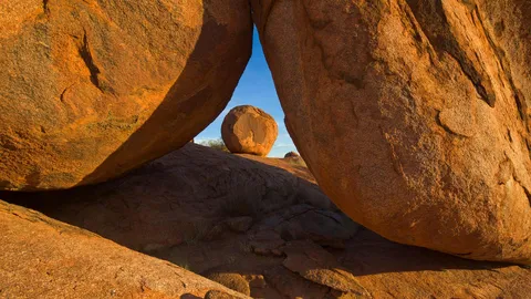 Nature's balancing act
